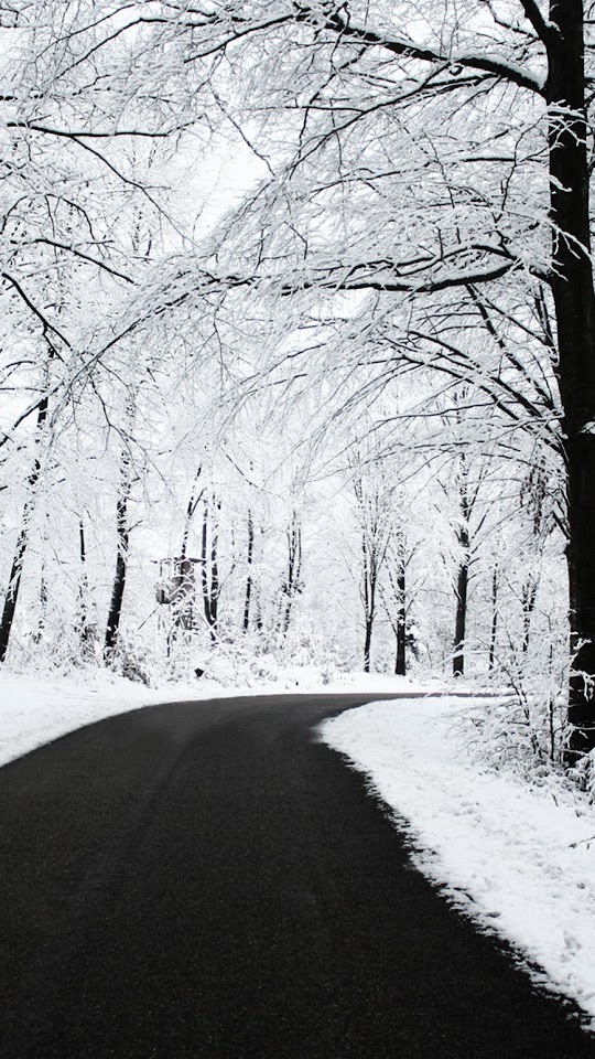 Forest Road Winter Snow  Galaxy Note HD Wallpaper Forest Road Winter Snow  Galaxy Note HD Wallpaper