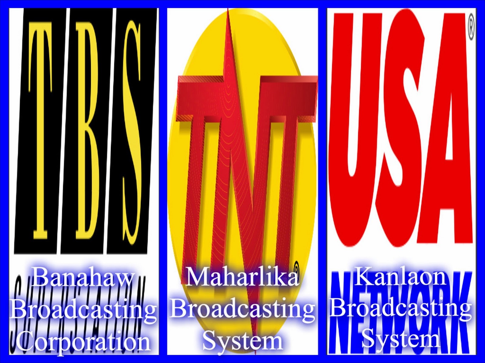 Dina Bonnevie National Sports Networks dina-bonnevie-national-sports-networks