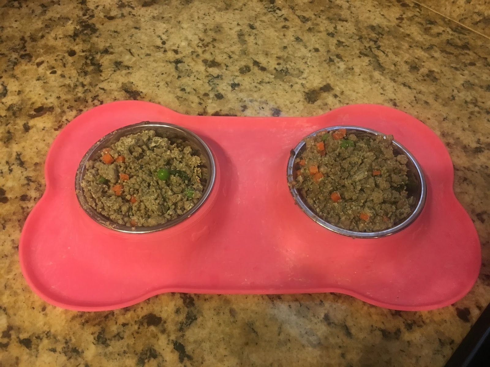 Review Chewy Exclusive HumanGrade Dog Food, Tylee’s.