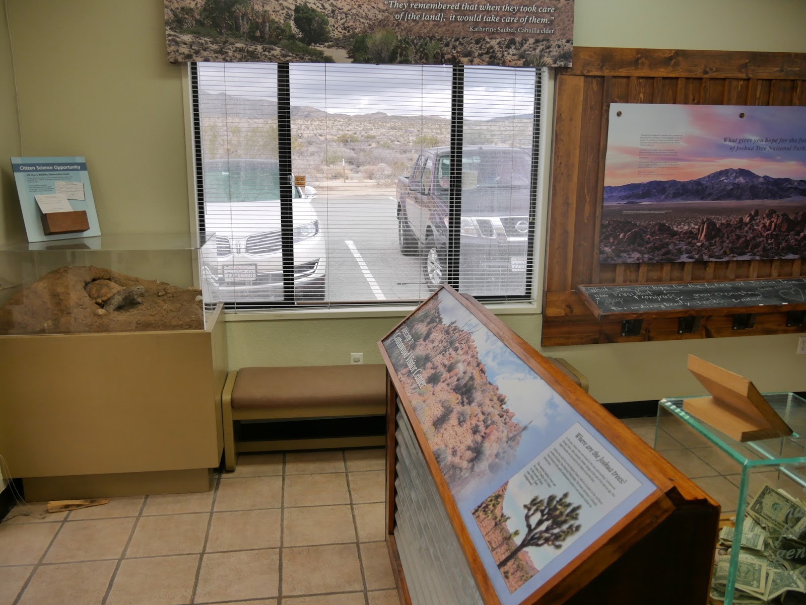 American Travel Journal Cottonwood Visitor Center Joshua Tree