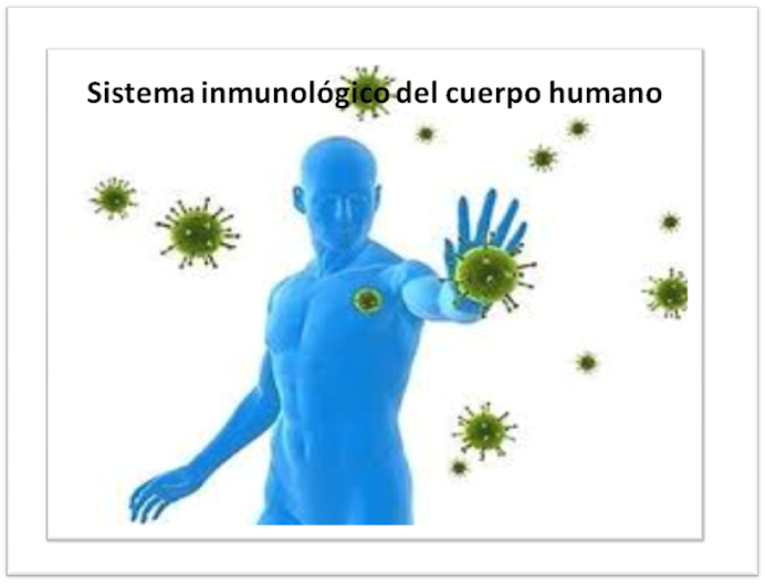Sistema inmunológico del CUERPO HUMANO