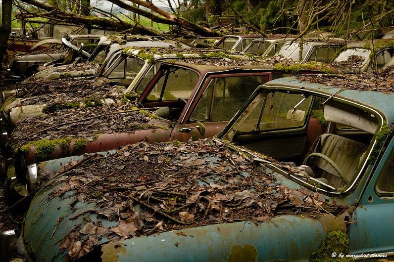 H.I.A.T. Hey, I abandoned that! Old abandoned cars in