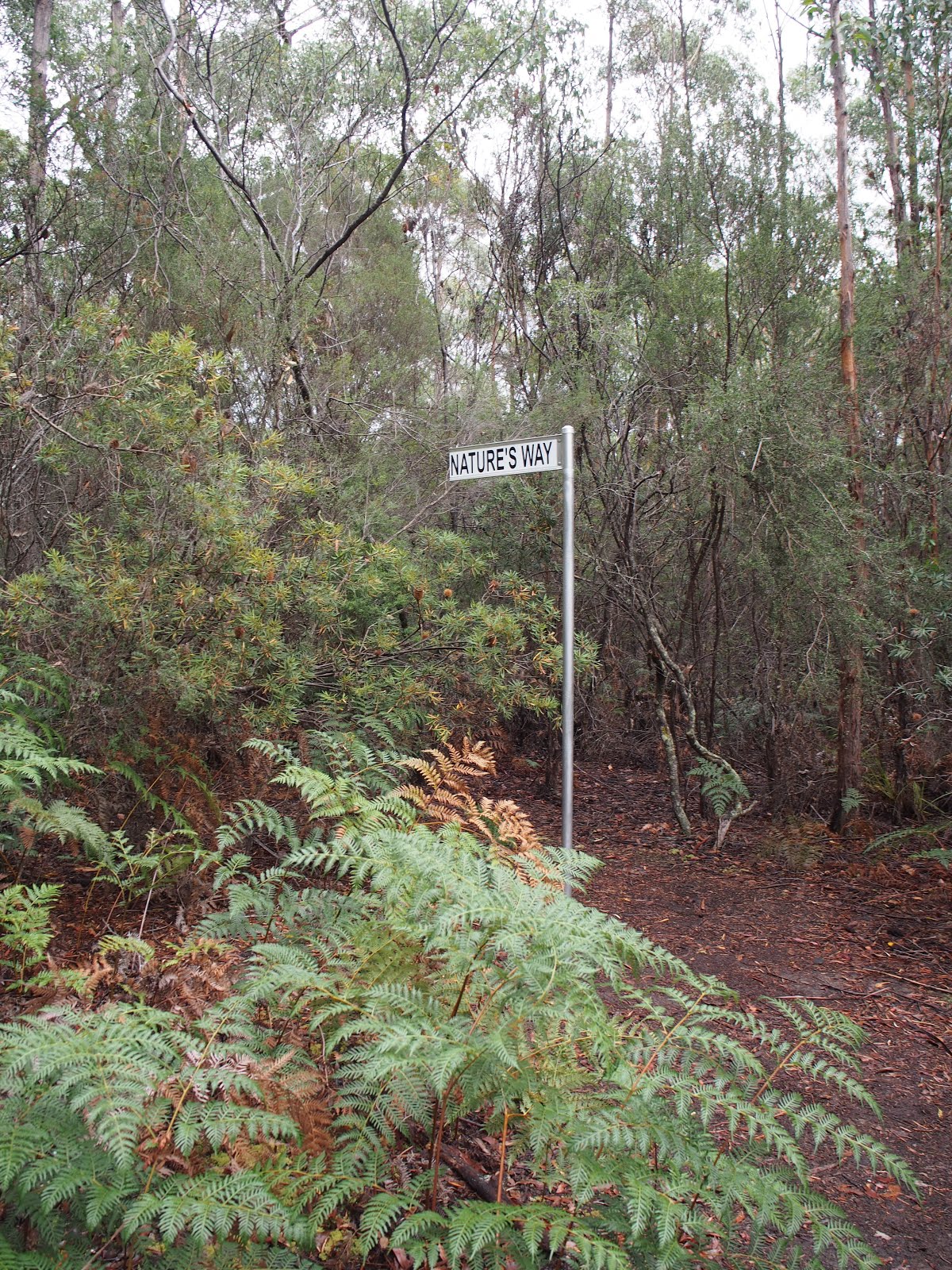 hobART Review Birchs Bay Sculpture Trail