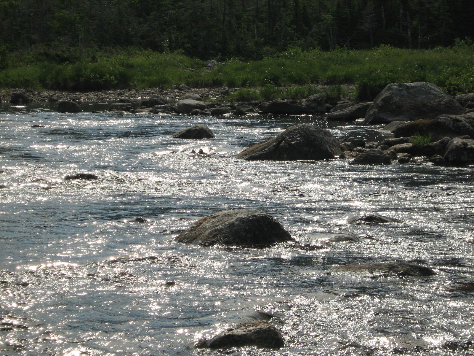 Town of Parsons Pond Photo Gallery