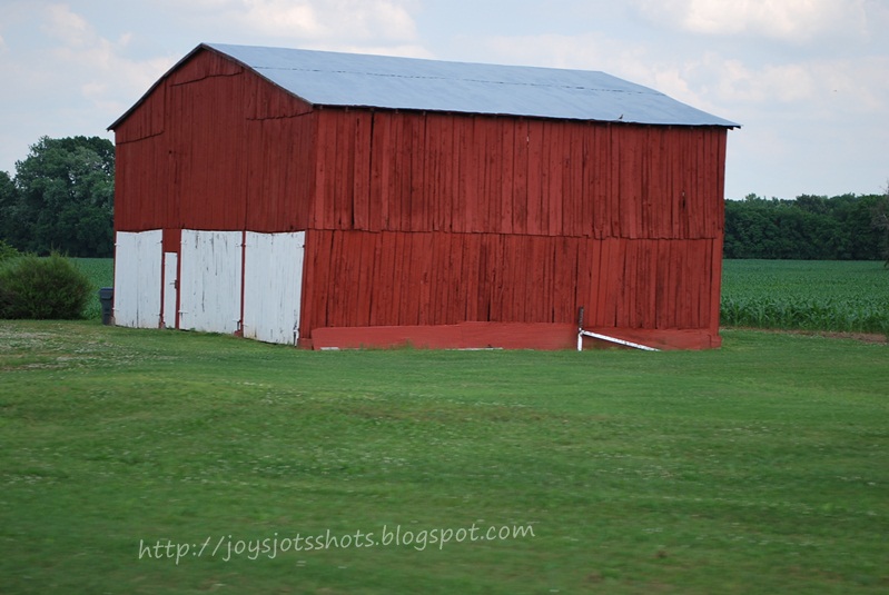 Joy's Jots, Shots & Whatnots Wordless Wednesday 55 Adairville, KY