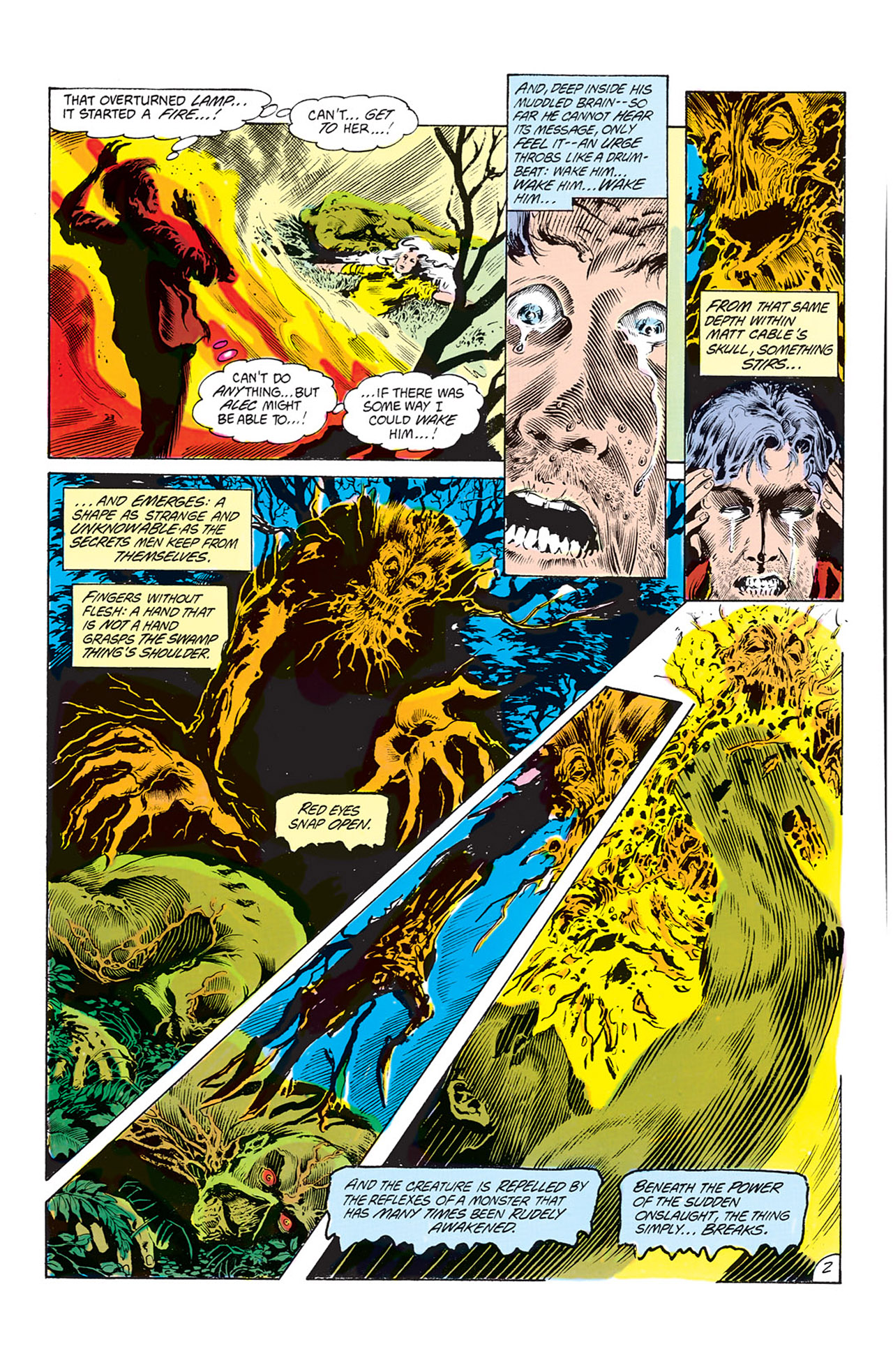 Read online Swamp Thing (1982) comic -  Issue #19 - 3