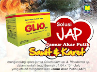 Trichoderma Sp Sebagai Pupuk Biologis Untuk Mencegah Penyakit Layu Fusarium Trichoderma Sp Sebagai Pupuk Biologis Untuk Mencegah Penyakit Layu Fusarium