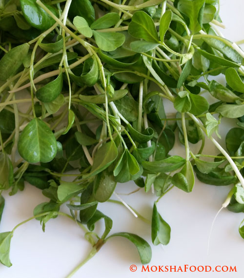 Methi Chicken with Fenugreek Microgreens!