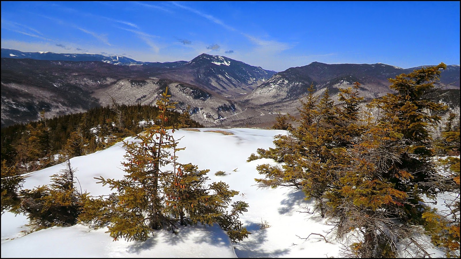 1HappyHiker Trek to Mt. Crawford, Plus Two Bushwhack SideTrips