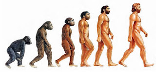 La evolución del hombre, paso a paso.