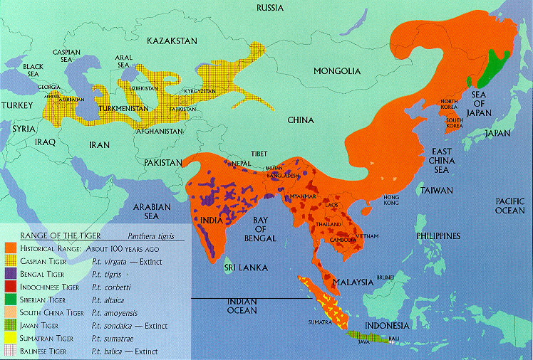 Tiger Range Map