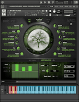 Download Sonic Forest KONTAKT Library