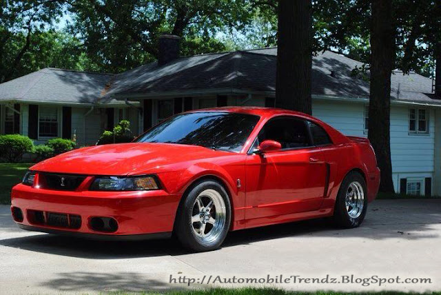 Mustang Cobra 2004