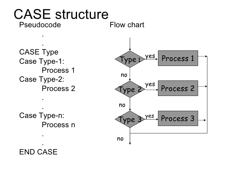 Structure of Pseudocodes ~ Baney Portfolio