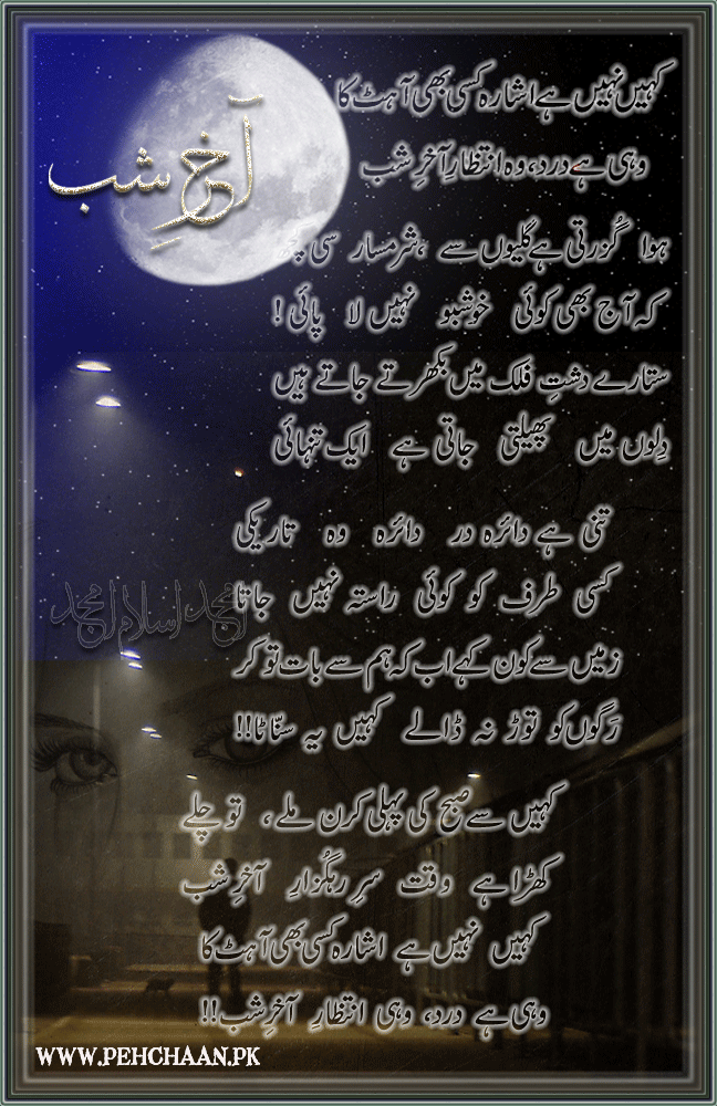 Free wallpaper Download funny,poetry,animals All in one: free