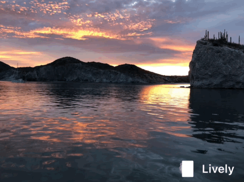 S V Cilantro Baja Sur To San Carlos Sonora A Smooth Crossing Photo Show March 2018 Your san carlos sonora stock images are ready. s v cilantro