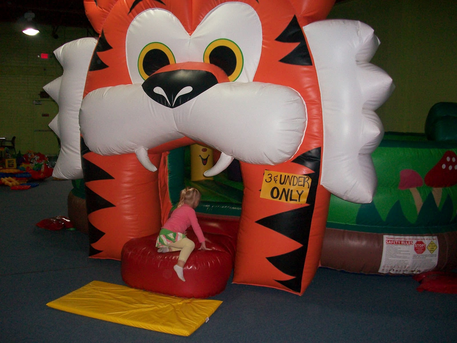 Glimpses of Camden Hippo Hop