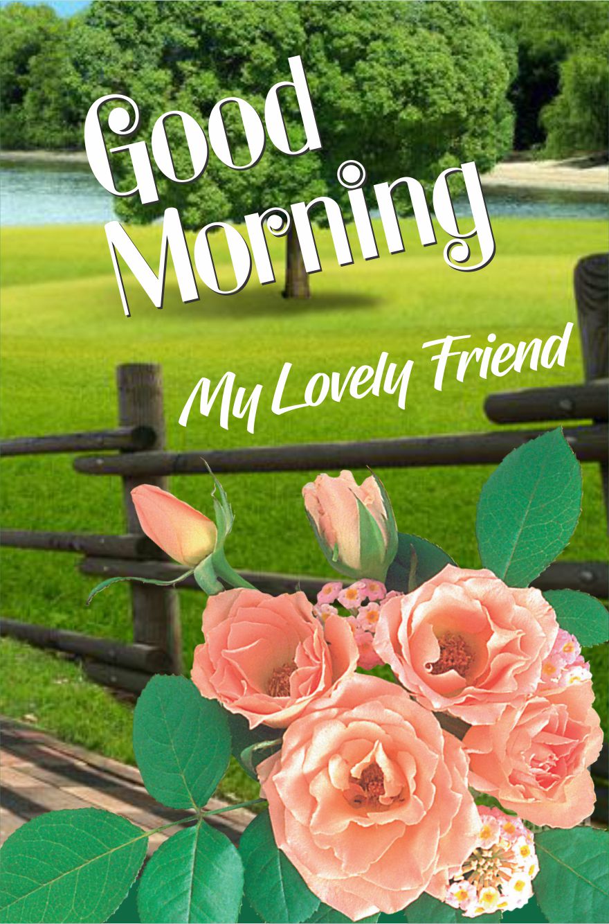 35 Free Good Morning Wishes Images Arrℓe Gyaarnics