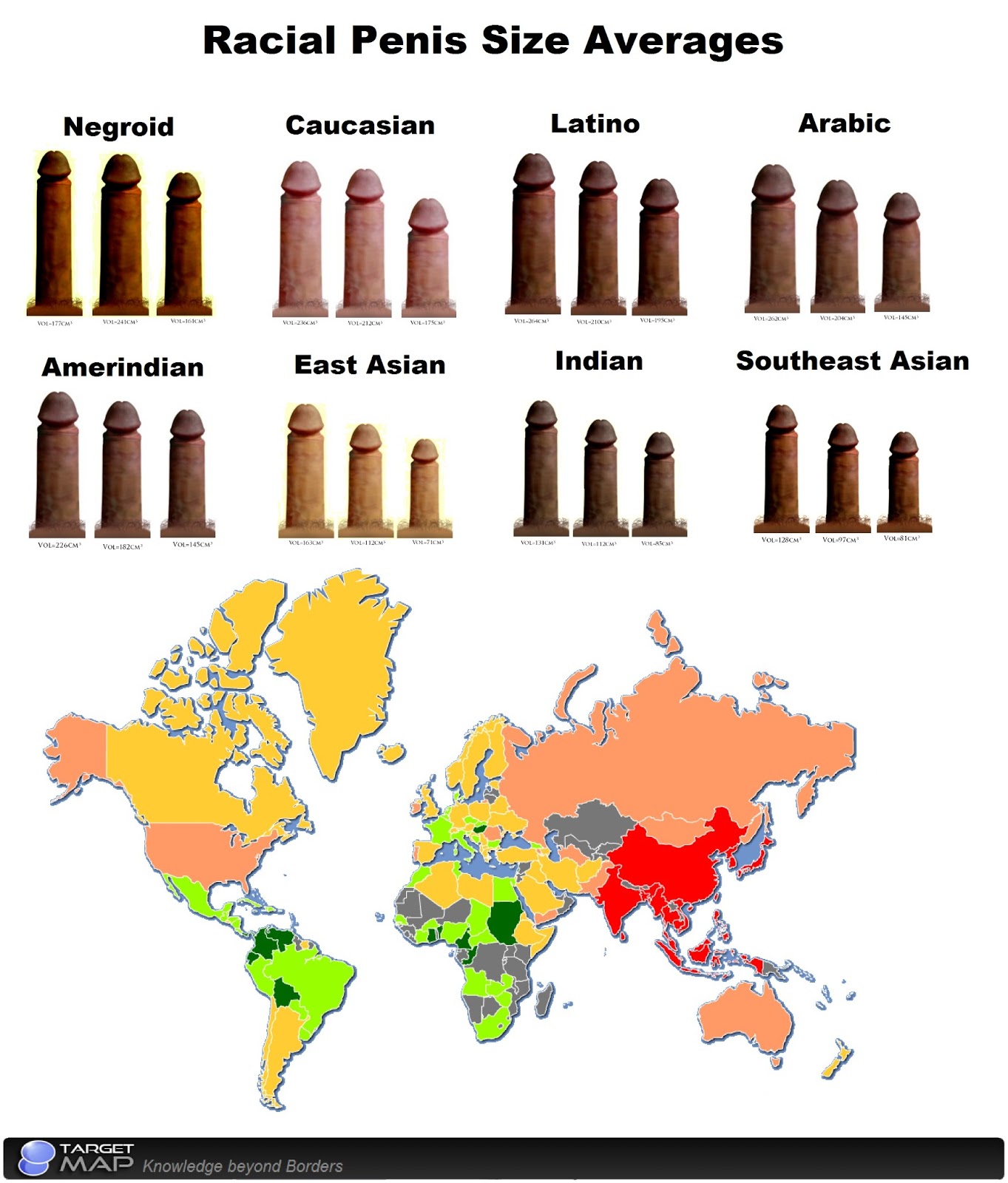 Studies around the world give astonishing accurate penis averages of races ...