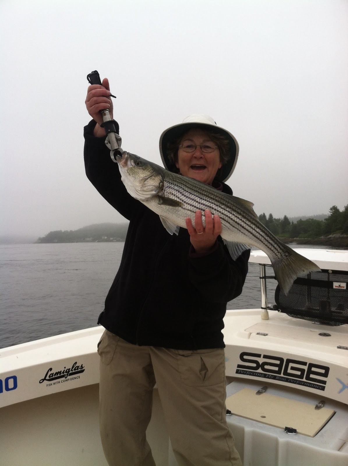 Maine Striper Fishing Charters & Reports Hotline 2076910745 Kennebec