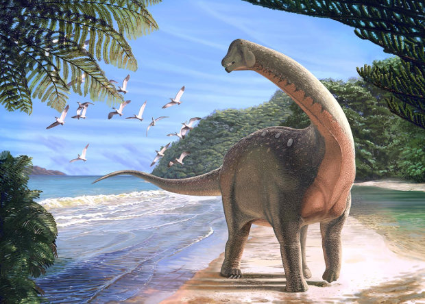 The hypothesis of the distribution of titanosaurs from Africa is confirmed