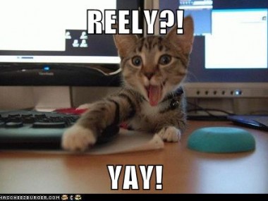 really_yay_lolcats-380x285.jpeg