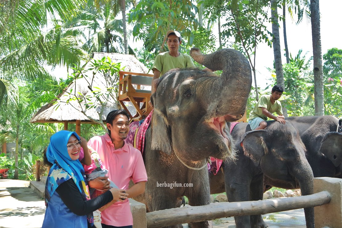 Lombok Elephant Park : Kebun Binatang Mini di Lombok Utara ~ JALAN
