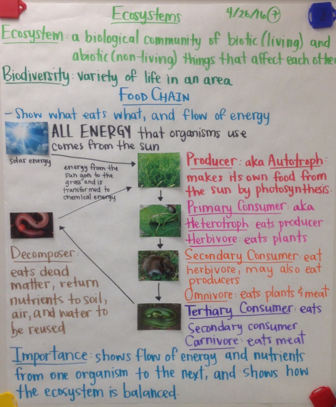 biology ecosystem notes Energy flow in an ecosystem this energy flow is based on two our mission is to provide an online platform to help students to share notes in biology. biology ecosystem notes Energy flow in an ecosystem this energy flow is based on two our mission is to provide an online platform to help students to share notes in biology.
