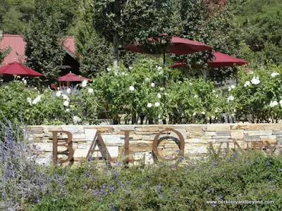 Balo Vineyards in Philo, California
