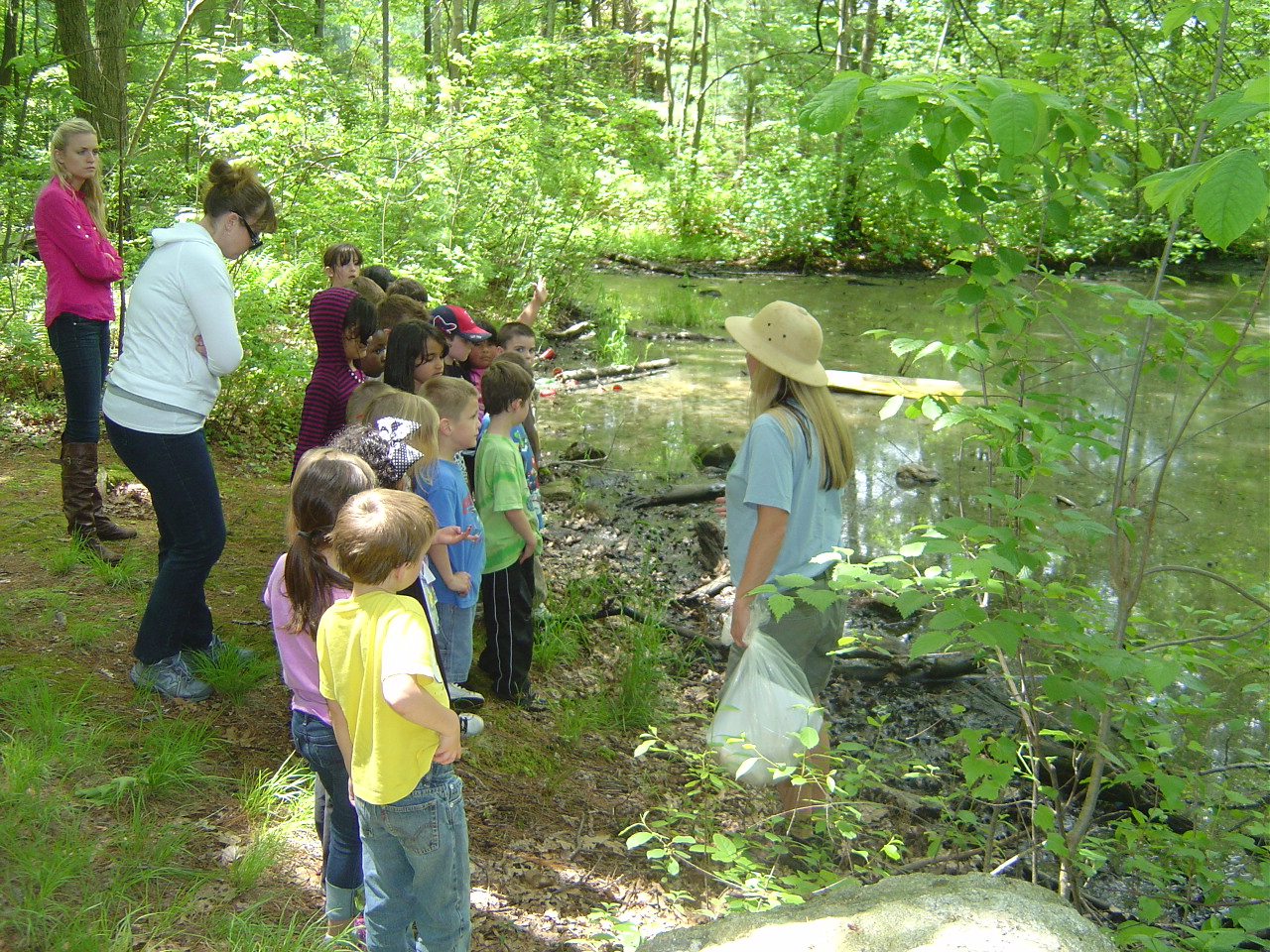 Pine Glen Room 101: Kindergarten Nature Walk