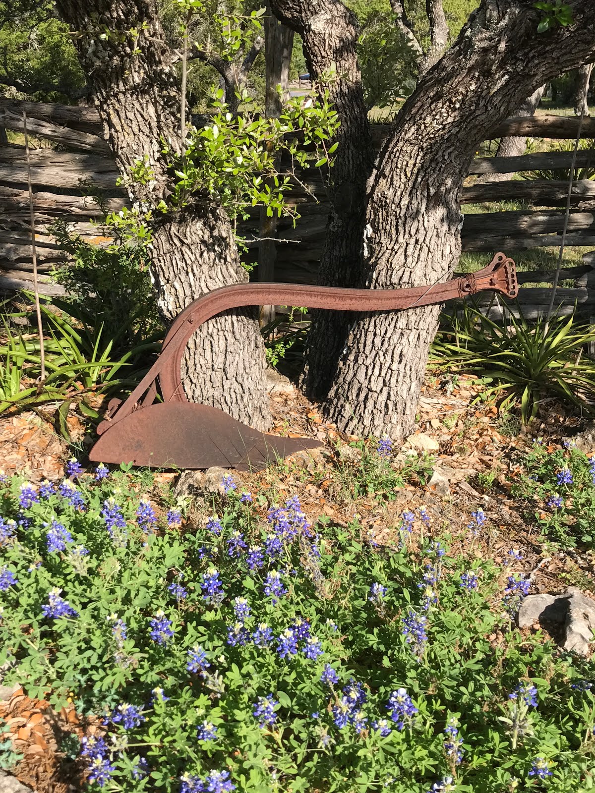 On The Meandering Road March 24, 2017 Austin, TX to Stonewall, TX