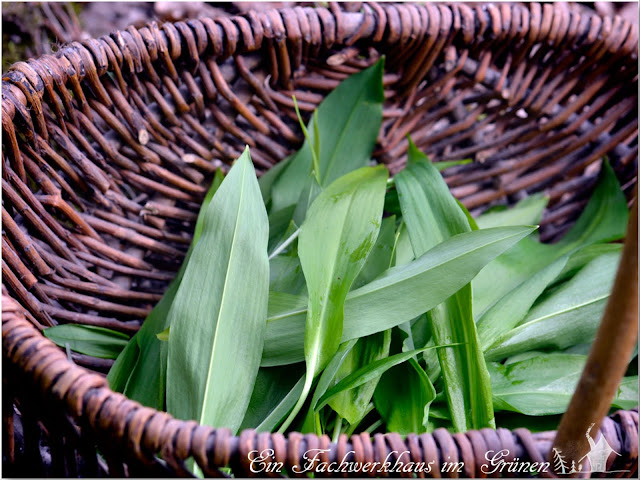 Bärlauch, Rezept Bärlauch, Rezept