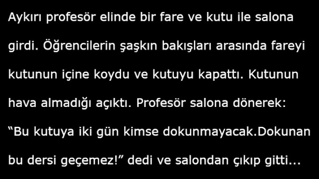 profesor-ve-fare-hikayesi1.jpg