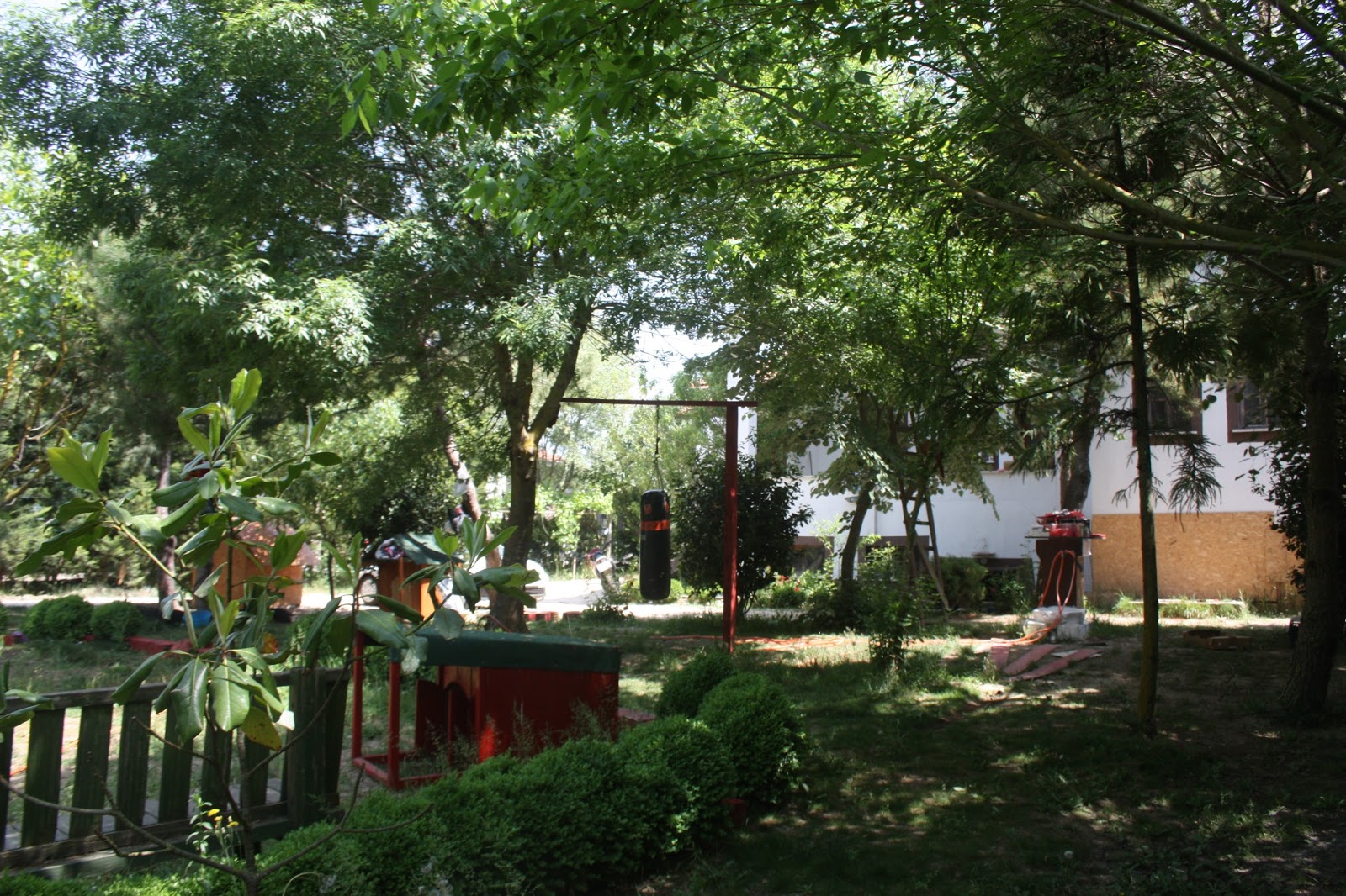 sahibinden köpek oteli İstanbul