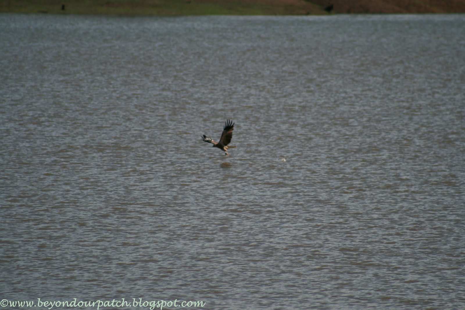Hamon Cove, Wivenhoe Dam, SouthEast Queensland 02/05/11