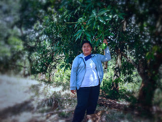 Enjoying The Fresh Air Under The Mango Trees In The Plant Field Ringdikit Village