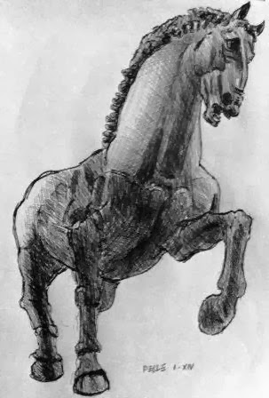 Equus di Serpiero