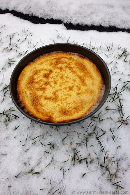 Image of a Finnish Oven Pancake in a cake pan on snowy grass