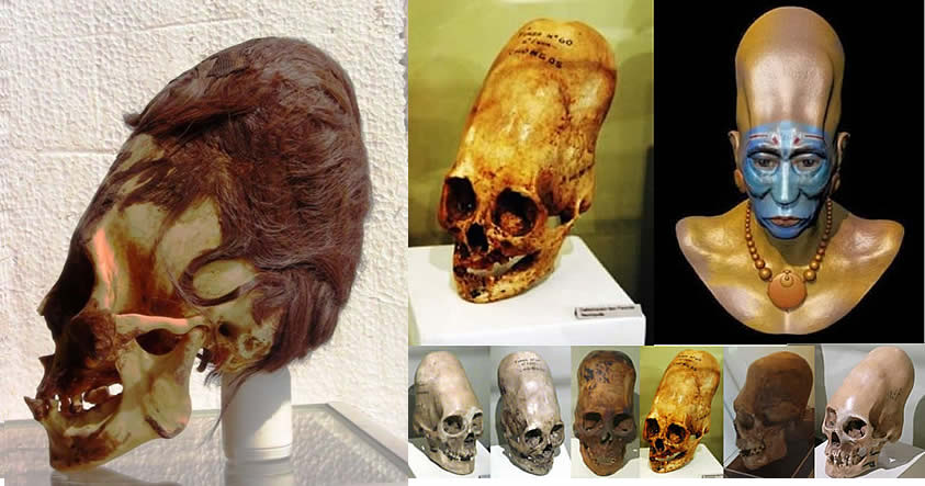 craneos-paracas-skull.jpg