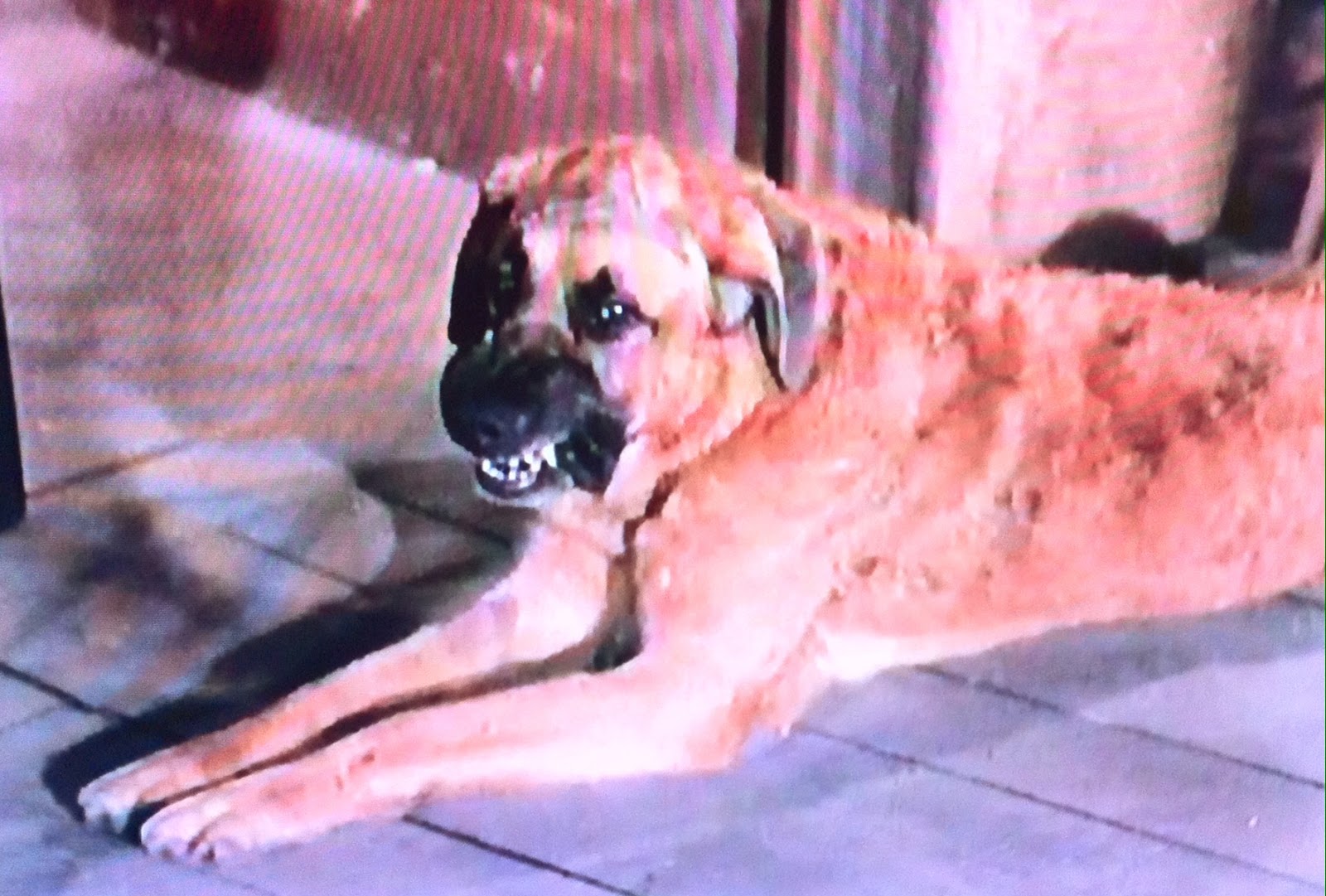 The Horn Section Television Review HONDO "Hondo and the Superstition