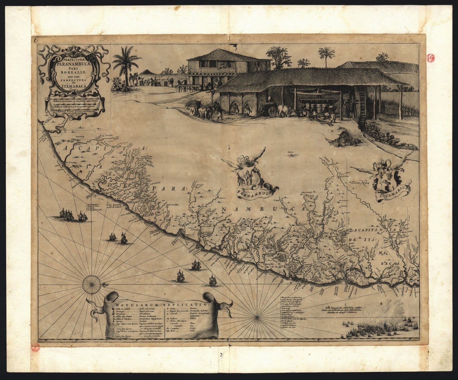 Donatários da Capitania da Nova Lusitânia