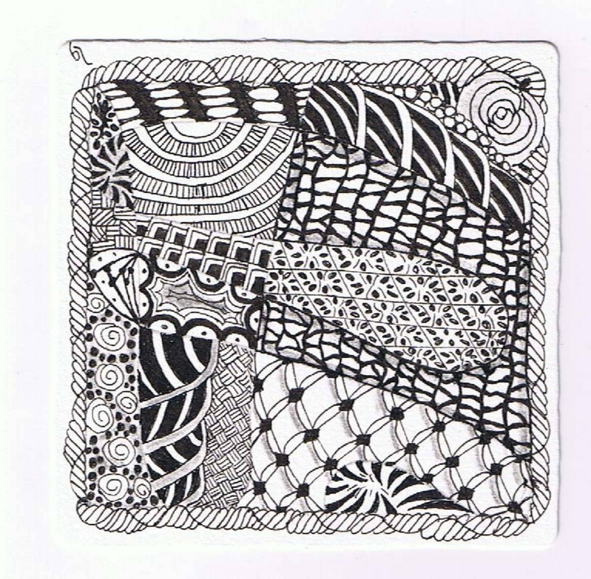 Sweet Freedom Designs: My Very First Zentangle