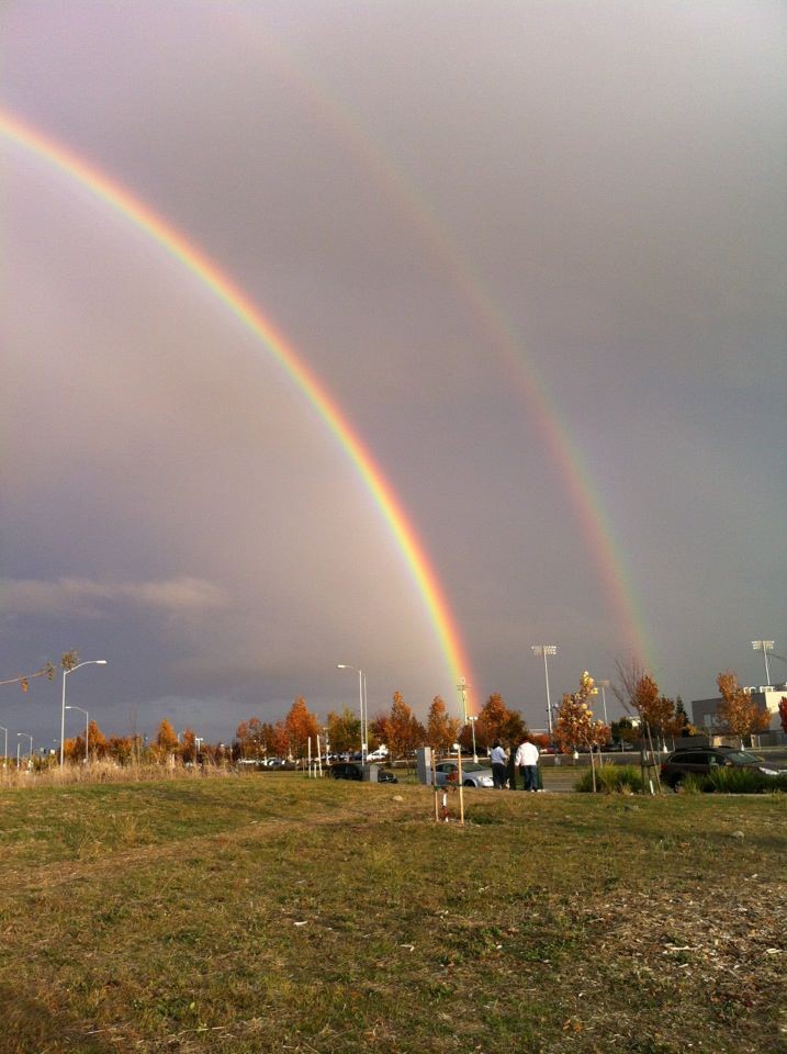 Seen In Natomas: Double Rainbow | The Natomas Buzz