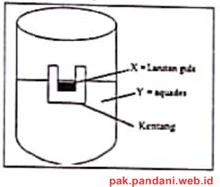 Perhatikan Gambar Percobaan Osmosis Berikut Setelah Beberapa Saat Permukaan X Akan Karena Cairan Diluar Kentang Bersifat Blog Pak Pandani
