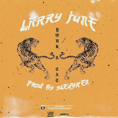 Larry June - "You A Cat" (Produced by Sledgren)