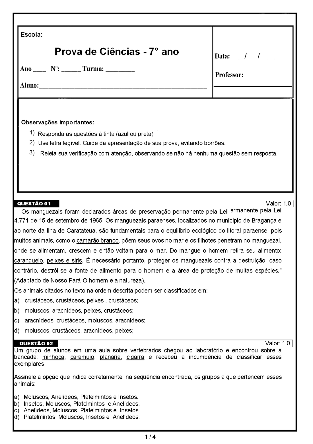 Atividade Sobre Fotografia 7 Ano EDUCA Atividade Sobre Fotografia 7 Ano EDUCA