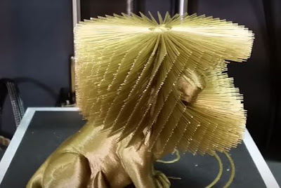 3D TODAY: 3D Printed Hairy Lion