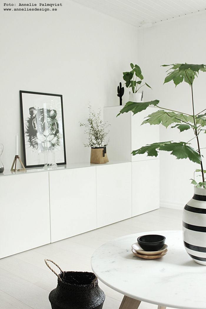 Svart, vitt & rött: svart kaktus