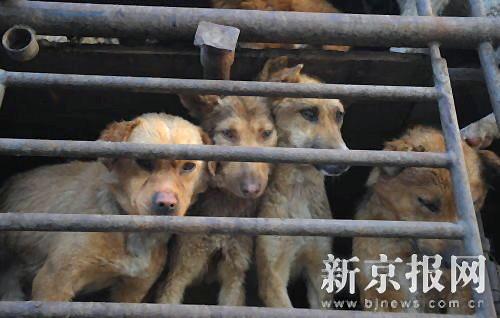 Türkiye Bilimsel Ateistler Birliği T.B.A.B Dinsel Gerekçeleri Doğru