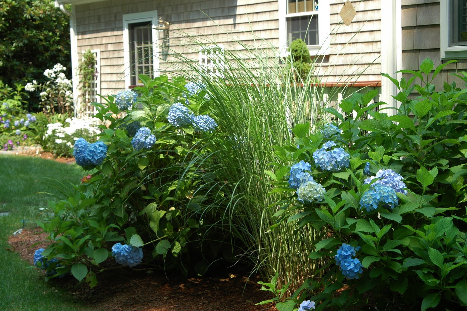 deborah jean's DANDELION HOUSE and GARDEN Farmgirl Friday blog hop 17